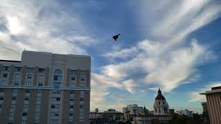 2024 Rose Bowl Parade B2 Stealth Bomber Flyover [upl. by Ranjiv567]