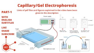 CapillaryGel Electrophoresis Part 1 Analytical Separations  Electroosmosis  DNA Sequencing  ZCC [upl. by Ainala]