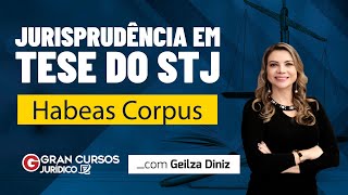 Jurisprudência em Tese do STJ  Habeas Corpus Profª Geilza Diniz [upl. by Searcy]