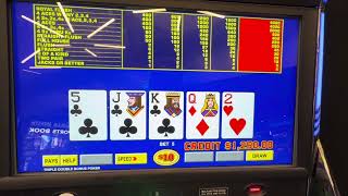 50 HighLimit Triple Double Bonus Video Poker Royal Flush 4 Aces Las Vegas at the Fabulous Strat [upl. by Frazier]