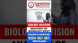 BIOLOGY REVISION  BIOLOGY  ANATOMY OF MONOCOT ROOT  biologyrevision competitionguru [upl. by Bores]