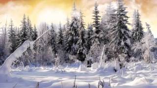 LHiver Largo  Vivaldi wmv [upl. by Adnawyek943]