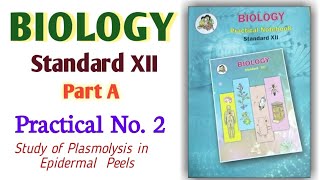 12th Biology Practical No 2 ll Study of Plasmolysis in Epidermal Peels viralvideo jee 12th [upl. by Tareyn]