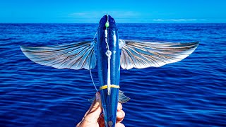 Flying Fish Lure Just like a real fish [upl. by Brynne]