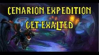 72 CENARION EXPEDITION REP GUIDE  FASTED WAY TO EXALTED AND WAR HIPPOGRYPH STEAMVAULT RUN [upl. by Aihsei]