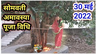 सोमवती अमावस्या पूजा विधि 2022somvati amavasya Puja vidhi 2022 [upl. by Gautea]