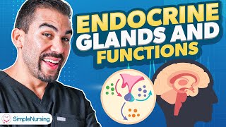 Endocrine Glands amp Functions  Parathyroidism Nursing  Made Easy NCLEX [upl. by Ithnan]