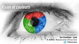 Vision et couleurs  Le daltonisme [upl. by Sall]