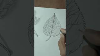 easy way leaf drawing step by step  leaf drawing tutorial for beginners drawing sketch howtodraw [upl. by Enilehcim]