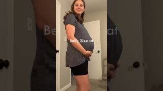 34 weeks pregnant belly bellyprogression [upl. by Broderic]