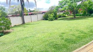 House for Sale in Vryheid  R 1400 000 [upl. by Dlonyar815]