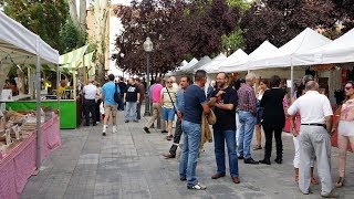 Feria de antigüedades  Mercado Retro Rosario Argentina [upl. by Sharyl797]