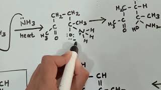 PaalKnorr Synthesis Preparation of Pyrrole derivatives from 14 dicarbonyl compounds [upl. by Moorish]