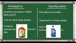 Antiseptic Vs Disinfectant differences English [upl. by Nered]