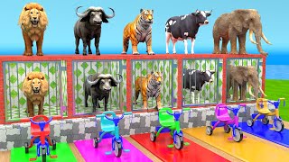 Cow Mammoth Elephant Lion Buffalo Guess The Right Key ESCAPE ROOM CHALLENGE Animals Cage Game [upl. by Eerased]