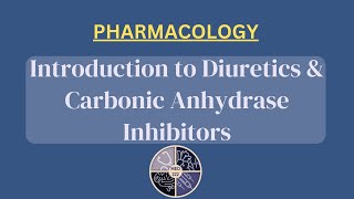 Introduction to Diuretics  Carbonic Anhydrase Inhibitors [upl. by Elsi]