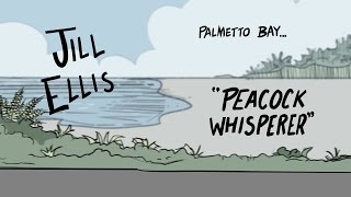 Jill Ellis Palmetto Bay Peacock Whisperer  WNT Animated Presented by Ritz [upl. by Radman]