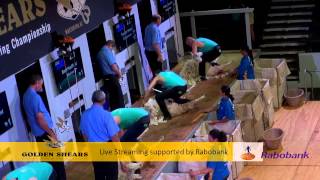 Open Shearing Heats  Golden Shears 2014 [upl. by Lose110]