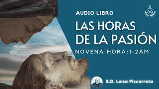 9 NOVENA HORA 1 2 AM Jesús es atado y hecho caer en el Torrente Cedrón [upl. by Langan467]