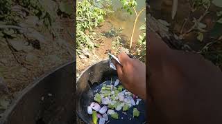 pesca y cocina fishing pescaderia lospecesenelrio [upl. by Colson280]