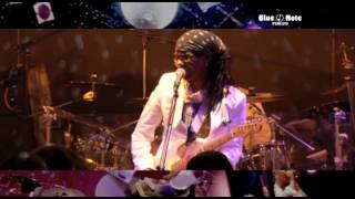 NILE RODGERS amp CHIC  BLUE NOTE TOKYO 2013 trailer [upl. by Korb]