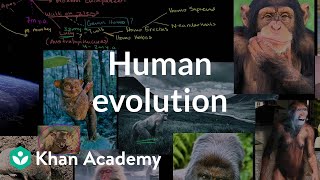 Human evolution overview  Life on earth and in the universe  Cosmology amp Astronomy  Khan Academy [upl. by Tnomed]