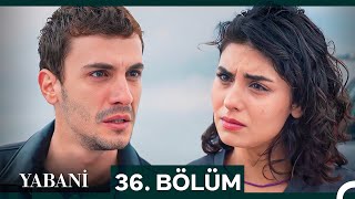 Yabani 36 Bölüm SEZON FİNALİ [upl. by Alodi578]