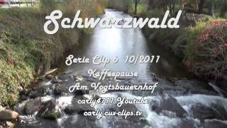 Schwarzwald  Kurzurlaub T6 Vogtsbauernhof carly s clips auf Youtube [upl. by Drawde]