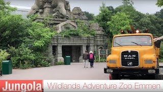 Jungola  Wildlands Adventure Zoo Emmen [upl. by Alroi281]