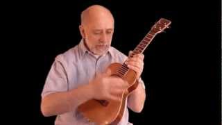 ROB COLLINS TENOR  Ukulele Review [upl. by Neelrac]