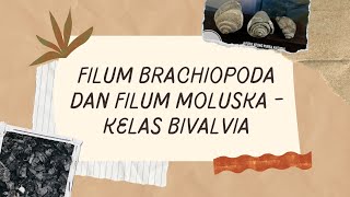 FILUM BRACHIOPODA  KELAS BIVALVIA [upl. by Judsen]