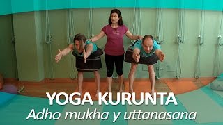 YOGA KURUNTA 3  Posturas Adho mukha y uttanasana [upl. by Opiak628]