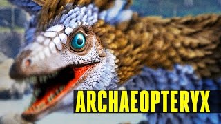 ARCHAEOPTERYX  How to tameEverything you need to know  Ark Survival Evolved Update 247 [upl. by Jerz650]