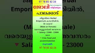 kerala jobs 2024 todays job malayalam jobs November 7 [upl. by Mendy]