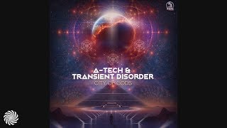 ATech amp Transient Disorder amp Spiritual Mode  Distant Travelers [upl. by Enomas989]