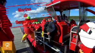 Croisière aux baleine aux Grandes Bergeronnes Tadoussac [upl. by Goldstein467]