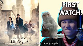 First watch of Fantastic Beasts  Reel Reactions [upl. by Intruok570]