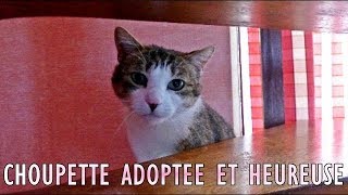 Choupette dans sa famille dadoption [upl. by Ddene]