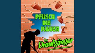 Pfusch die Mauer [upl. by Eiramac]