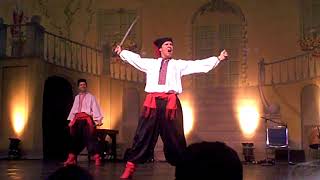 Ukrainian Cossack Dance with swords [upl. by Holofernes307]