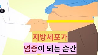 지방세포가 나쁜 염증이 되는 순간 [upl. by Nanfa]