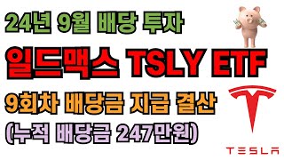 일드맥스 TSLY ETF의 9월 배당 투자 지급 결산 고배당 커버드콜 ETF tsly tsla 테슬리 테슬라주식 [upl. by Campney]