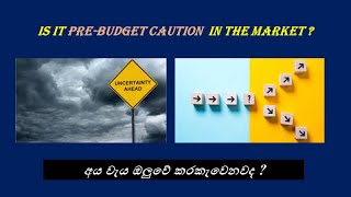 අය වැය ඔලුවේ කරකැවෙනවද  Pre Budget Dilemma in CSE   CSE Next Week  Investor Behavior  ASPI [upl. by Eirameinna661]