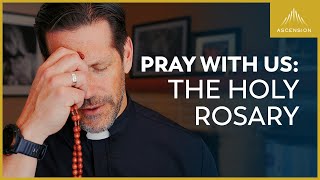 Pray with Us The Sorrowful Mysteries of the Rosary with Fr Mike Schmitz Tuesdays amp Fridays [upl. by Drew]