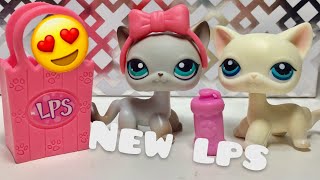 Lps 391 and 410 Unboxing Shorthair Cat ReviewCollecters Guide Ep 2 [upl. by Loftus]