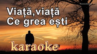 Karaoke  Viata viata ce grea esti  Versuri  Negativ [upl. by Ssirk]