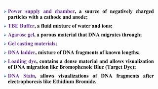 Components of Agarose Gel Electrophoresis System [upl. by Haceber]