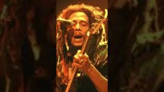 Bob Marley was in JAIL  interesting facts bobmarley reggae [upl. by Amabelle]