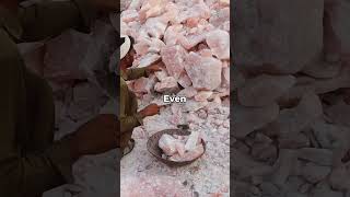 Why Pink Himalayan Salt Is So Expensive expensive [upl. by Akcirre]