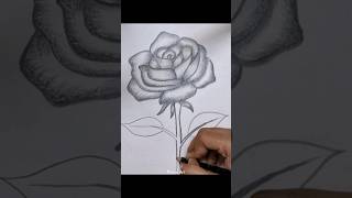 Very Easy Rose Drawing 🌹 rose drawing shorts [upl. by Kentiga144]